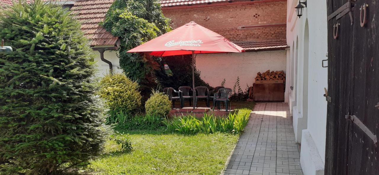 הוילה Lázně Bohdaneč Farma Macas מראה חיצוני תמונה